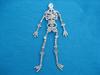 Large Dangling Skeleton Pin